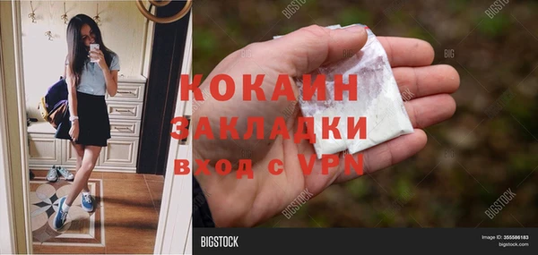 стаф Волоколамск